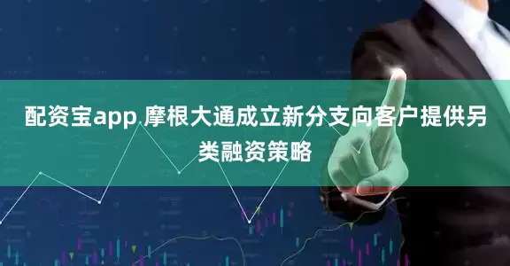 配资宝app 摩根大通成立新分支向客户提供另类融资策略