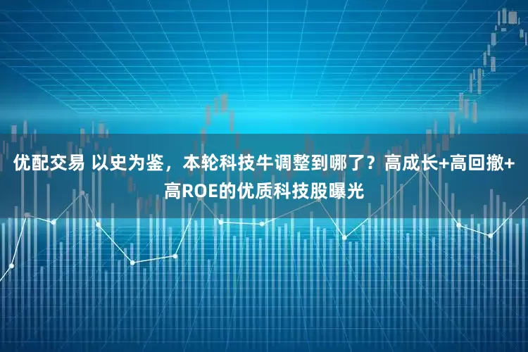 优配交易 以史为鉴，本轮科技牛调整到哪了？高成长+高回撤+高ROE的优质科技股曝光